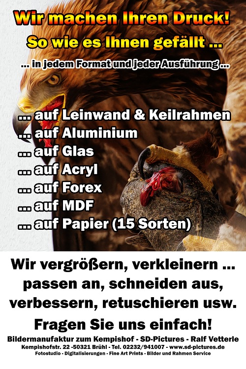 40WEB Wir machen Ihren Druck